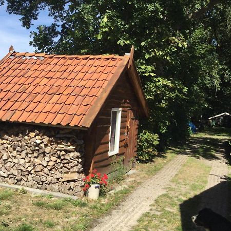 Landelijk Gelegen Huisje Op Erf Veeningen Экстерьер фото