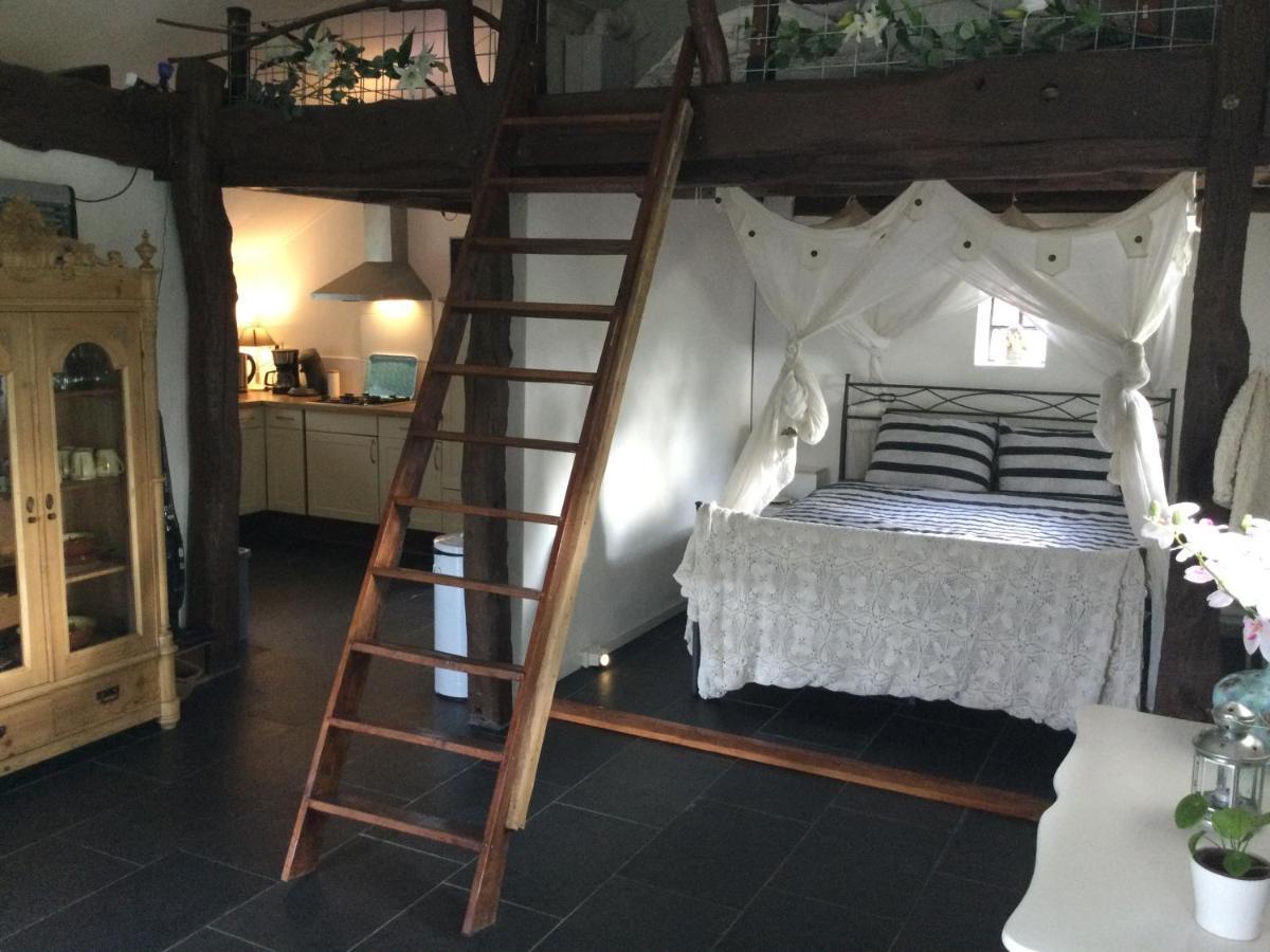 Landelijk Gelegen Huisje Op Erf Veeningen Экстерьер фото