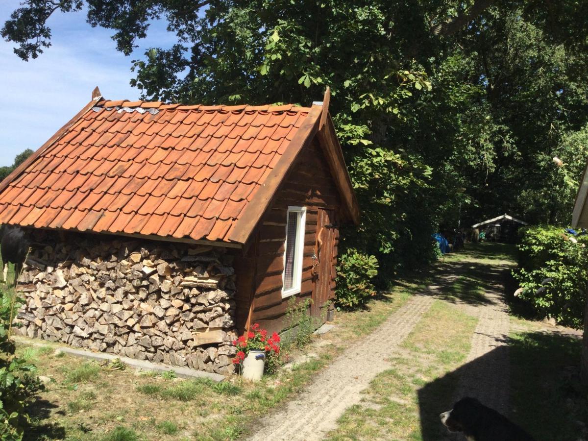 Landelijk Gelegen Huisje Op Erf Veeningen Экстерьер фото