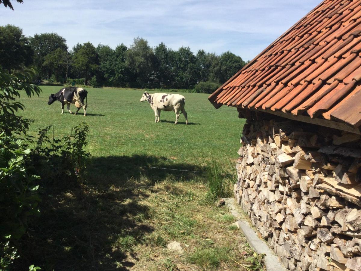 Landelijk Gelegen Huisje Op Erf Veeningen Экстерьер фото