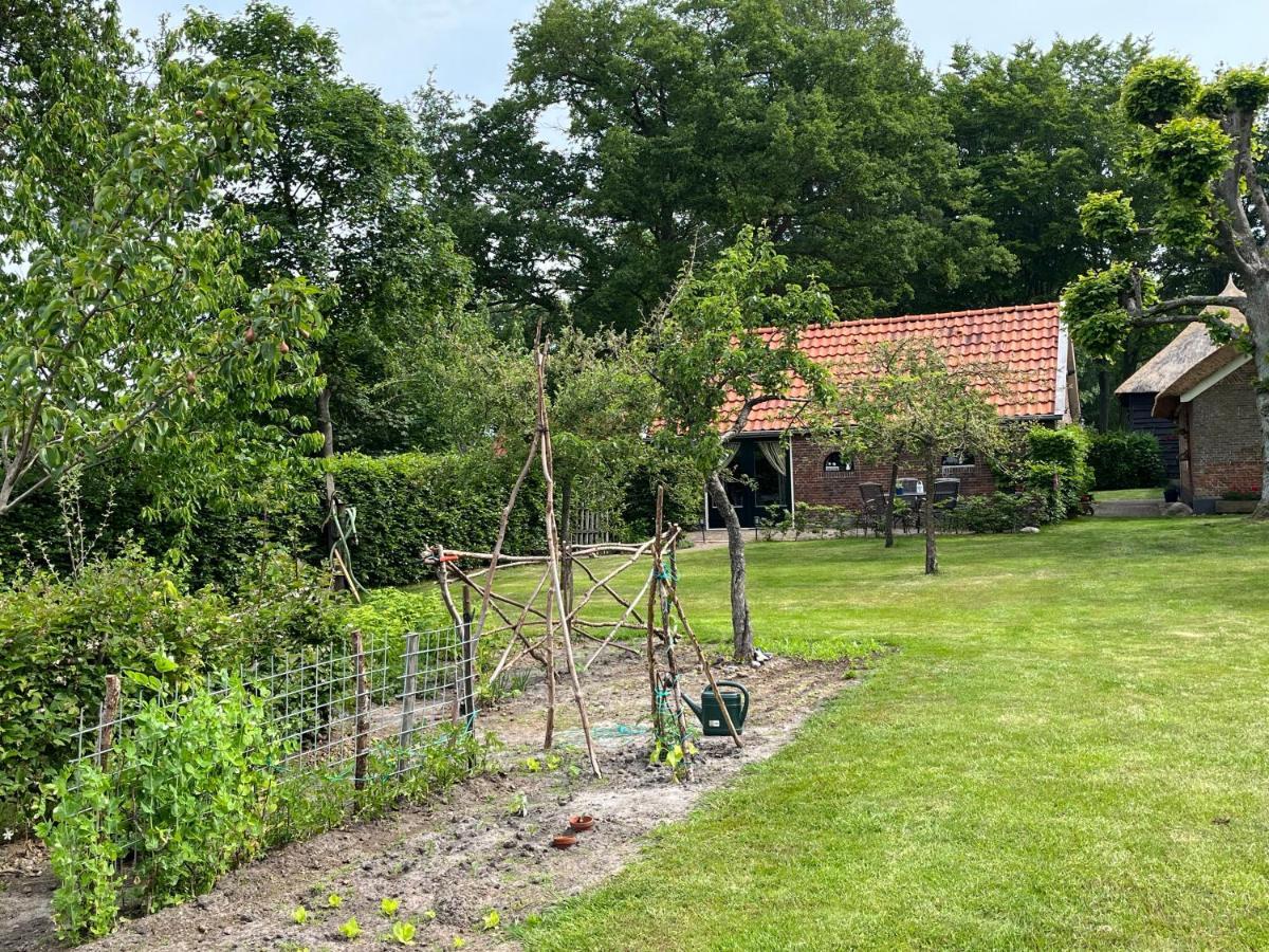 Landelijk Gelegen Huisje Op Erf Veeningen Экстерьер фото