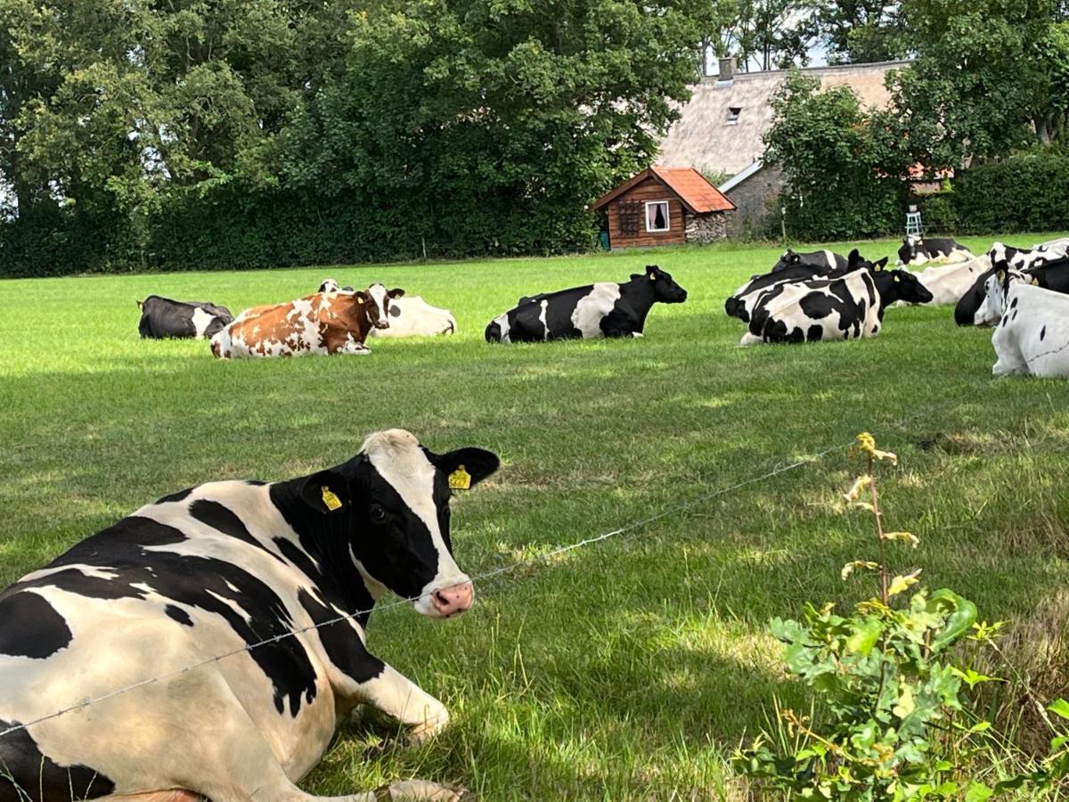 Landelijk Gelegen Huisje Op Erf Veeningen Экстерьер фото
