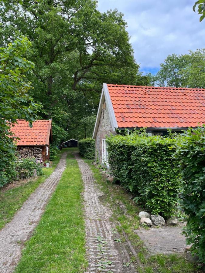 Landelijk Gelegen Huisje Op Erf Veeningen Экстерьер фото